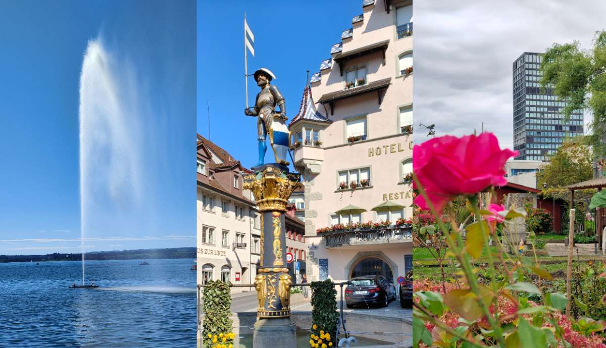 The fountain of Lake Zug, roses and a high-rise, a fountain in the center of Zug
